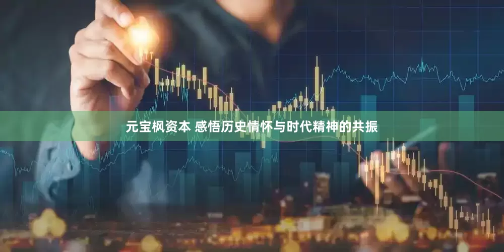 元宝枫资本 感悟历史情怀与时代精神的共振