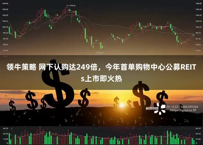 领牛策略 网下认购达249倍，今年首单购物中心公募REITs上市即火热