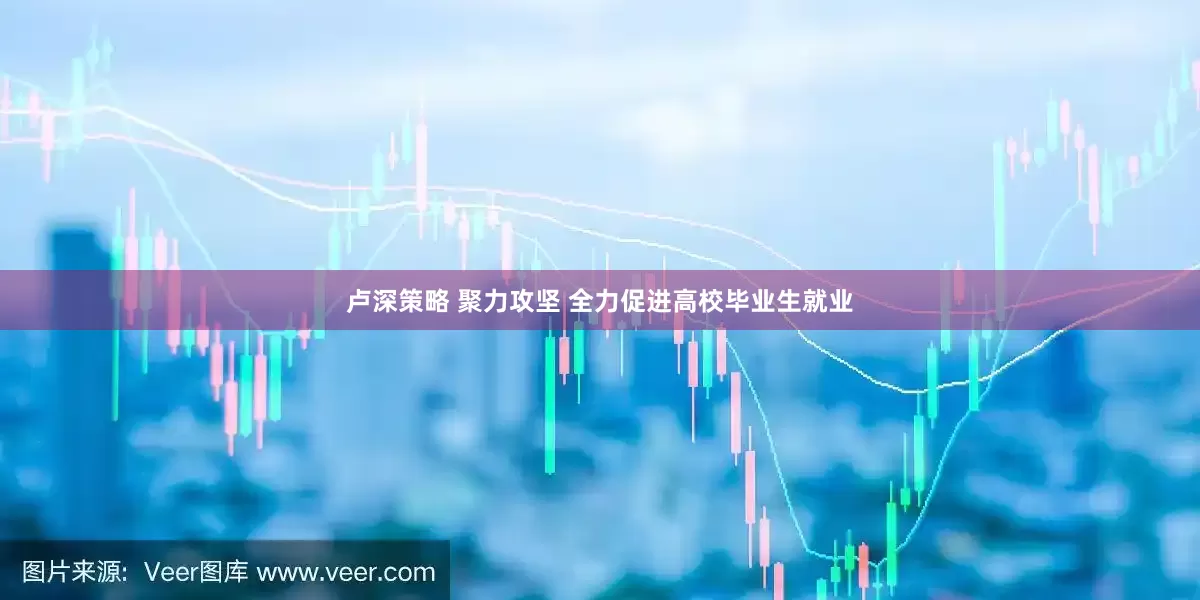 卢深策略 聚力攻坚 全力促进高校毕业生就业