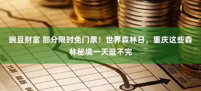 豌豆财富 部分限时免门票！世界森林日，重庆这些森林秘境一天逛不完