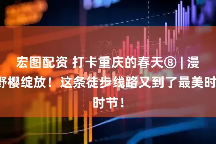 宏图配资 打卡重庆的春天⑧ | 漫山野樱绽放！这条徒步线路又到了最美时节！
