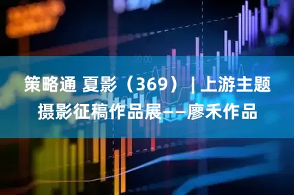 策略通 夏影（369） | 上游主题摄影征稿作品展——廖禾作品
