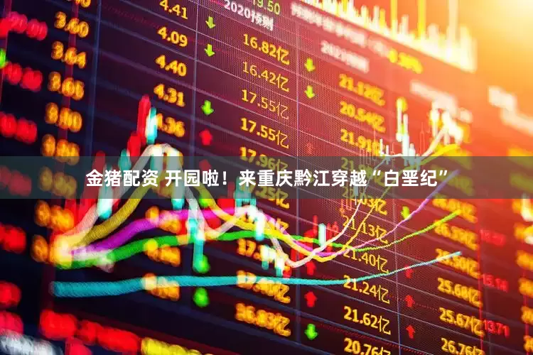 金猪配资 开园啦！来重庆黔江穿越“白垩纪”