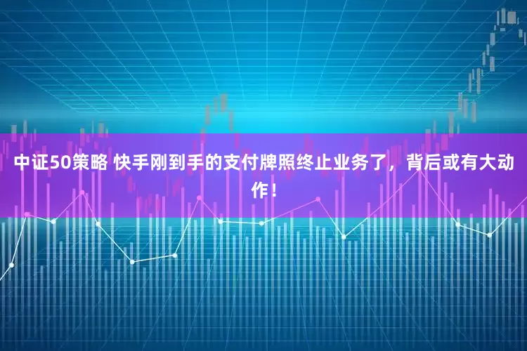中证50策略 快手刚到手的支付牌照终止业务了，背后或有大动作！