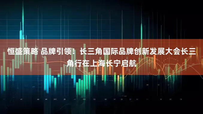 恒盛策略 品牌引领！长三角国际品牌创新发展大会长三角行在上海长宁启航